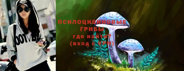 ПСИЛОЦИБИНОВЫЕ ГРИБЫ Алексин