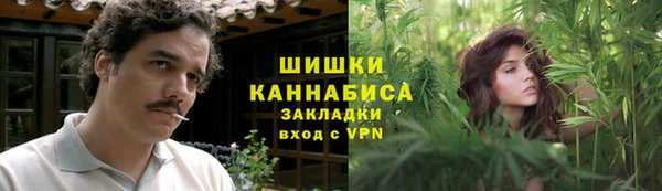 ПСИЛОЦИБИНОВЫЕ ГРИБЫ Алексин