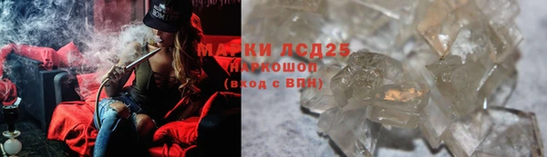 ПСИЛОЦИБИНОВЫЕ ГРИБЫ Алексин