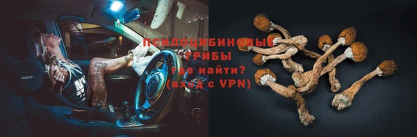 ПСИЛОЦИБИНОВЫЕ ГРИБЫ Алексин